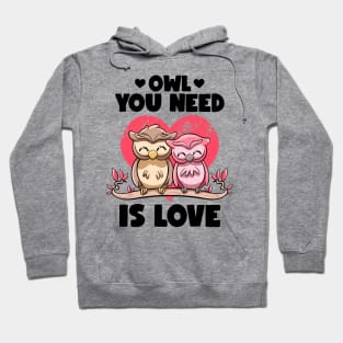 Owl You Need Is Love Adorable Owl Puns Couple Valentines Day Hoodie